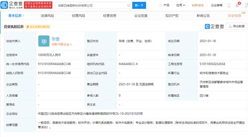 软件外包服务 全球化时代的智能解决方案